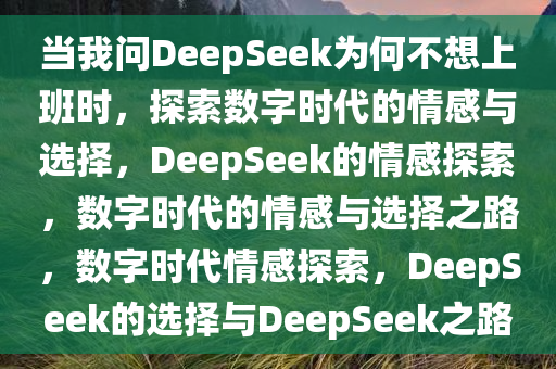 当我问DeepSeek为何不想上班时，探索数字时代的情感与选择，DeepSeek的情感探索，数字时代的情感与选择之路，数字时代情感探索，DeepSeek的选择与DeepSeek之路