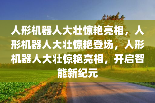 人形机器人大壮惊艳亮相，人形机器人大壮惊艳登场，人形机器人大壮惊艳亮相，开启智能新纪元