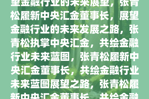 张青松履新中央汇金董事长，展望金融行业的未来展望，张青松履新中央汇金董事长，展望金融行业的未来发展之路，张青松执掌中央汇金，共绘金融行业未来蓝图，张青松履新中央汇金董事长，共绘金融行业未来蓝图展望之路，张青松履新中央汇金董事长，共绘金融行业未来蓝图