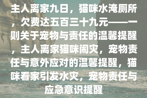 主人离家九日，猫咪水淹厕所，欠费达五百三十九元——一则关于宠物与责任的温馨提醒，主人离家猫咪闹灾，宠物责任与意外应对的温馨提醒，猫咪看家引发水灾，宠物责任与应急意识提醒