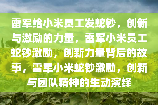 雷军给小米员工发蛇钞，创新与激励的力量，雷军小米员工蛇钞激励，创新力量背后的故事，雷军小米蛇钞激励，创新与团队精神的生动演绎