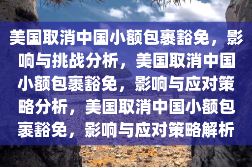 美国取消中国小额包裹豁免，影响与挑战分析，美国取消中国小额包裹豁免，影响与应对策略分析，美国取消中国小额包裹豁免，影响与应对策略解析