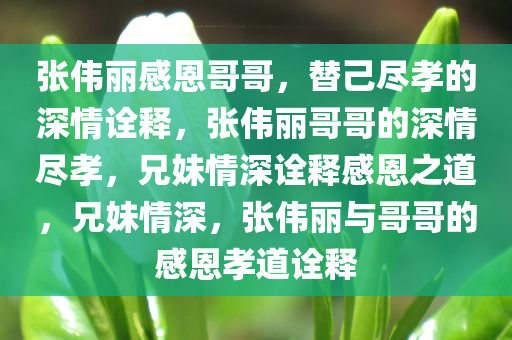 张伟丽感恩哥哥，替己尽孝的深情诠释，张伟丽哥哥的深情尽孝，兄妹情深诠释感恩之道，兄妹情深，张伟丽与哥哥的感恩孝道诠释