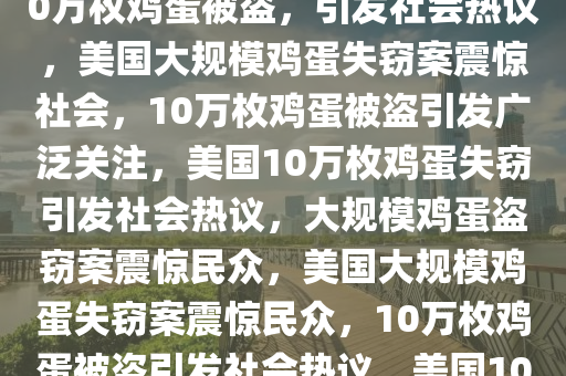 美国惊现大规模鸡蛋失窃案，10万枚鸡蛋被盗，引发社会热议，美国大规模鸡蛋失窃案震惊社会，10万枚鸡蛋被盗引发广泛关注，美国10万枚鸡蛋失窃引发社会热议，大规模鸡蛋盗窃案震惊民众，美国大规模鸡蛋失窃案震惊民众，10万枚鸡蛋被盗引发社会热议，美国10万枚鸡蛋失窃案引发社会热议