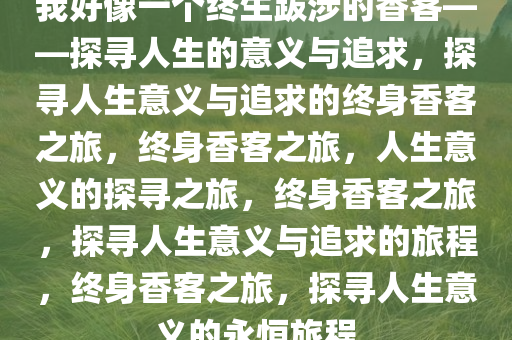 我好像一个终生跋涉的香客——探寻人生的意义与追求，探寻人生意义与追求的终身香客之旅，终身香客之旅，人生意义的探寻之旅，终身香客之旅，探寻人生意义与追求的旅程，终身香客之旅，探寻人生意义的永恒旅程