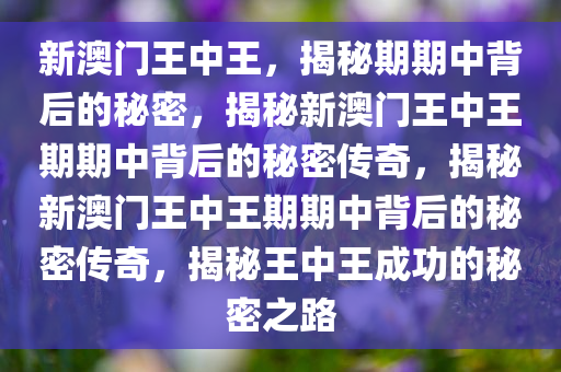 新澳门王中王，揭秘期期中背后的秘密，揭秘新澳门王中王期期中背后的秘密传奇，揭秘新澳门王中王期期中背后的秘密传奇，揭秘王中王成功的秘密之路