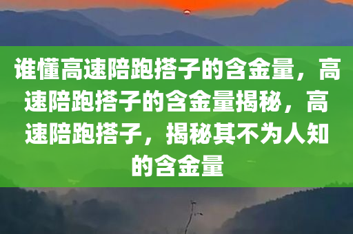 谁懂高速陪跑搭子的含金量，高速陪跑搭子的含金量揭秘，高速陪跑搭子，揭秘其不为人知的含金量