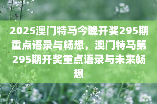 2025澳门特马今晚开奖295期重点语录与畅想，澳门特马第295期开奖重点语录与未来畅想