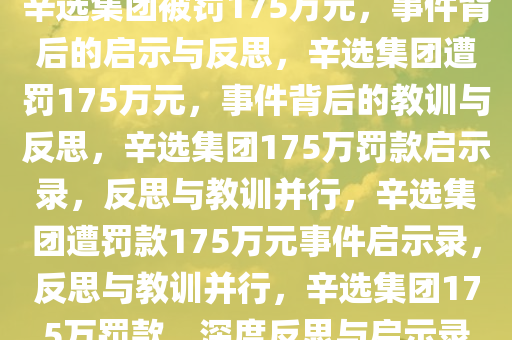 辛选集团被罚175万元，事件背后的启示与反思，辛选集团遭罚175万元，事件背后的教训与反思，辛选集团175万罚款启示录，反思与教训并行，辛选集团遭罚款175万元事件启示录，反思与教训并行，辛选集团175万罚款，深度反思与启示录