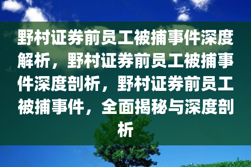 野村证券前员工被捕事件深度解析，野村证券前员工被捕事件深度剖析，野村证券前员工被捕事件，全面揭秘与深度剖析