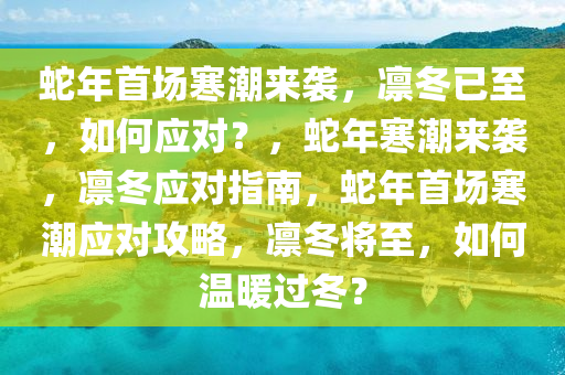 蛇年首场寒潮来袭，凛冬已至，如何应对？，蛇年寒潮来袭，凛冬应对指南，蛇年首场寒潮应对攻略，凛冬将至，如何温暖过冬？