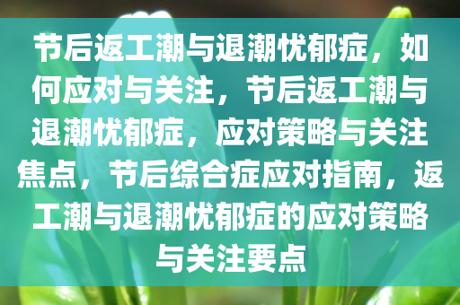 节后返工潮与退潮忧郁症，如何应对与关注，节后返工潮与退潮忧郁症，应对策略与关注焦点，节后综合症应对指南，返工潮与退潮忧郁症的应对策略与关注要点