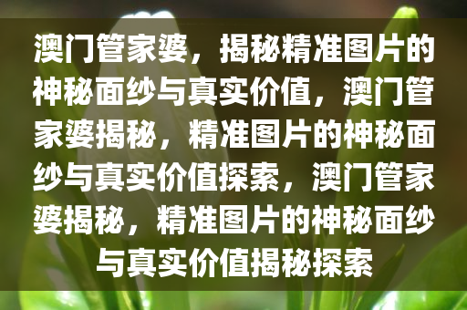 澳门管家婆，揭秘精准图片的神秘面纱与真实价值，澳门管家婆揭秘，精准图片的神秘面纱与真实价值探索，澳门管家婆揭秘，精准图片的神秘面纱与真实价值揭秘探索