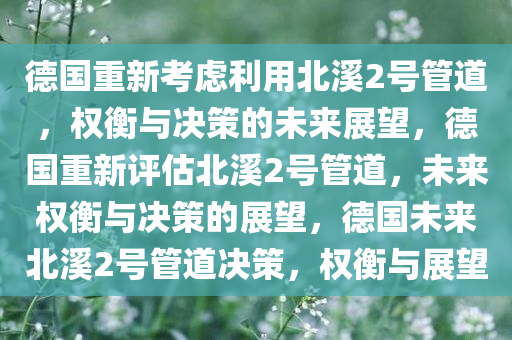 德国重新考虑利用北溪2号管道，权衡与决策的未来展望，德国重新评估北溪2号管道，未来权衡与决策的展望，德国未来北溪2号管道决策，权衡与展望