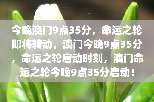 今晚澳门9点35分，命运之轮即将转动，澳门今晚9点35分，命运之轮启动时刻，澳门命运之轮今晚9点35分启动！