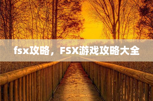 fsx攻略，F(xiàn)SX游戏攻略大全