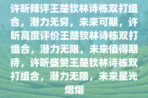 许昕辣评王楚钦林诗栋双打组合，潜力无穷，未来可期，许昕高度评价王楚钦林诗栋双打组合，潜力无限，未来值得期待，许昕盛赞王楚钦林诗栋双打组合，潜力无限，未来星光熠熠