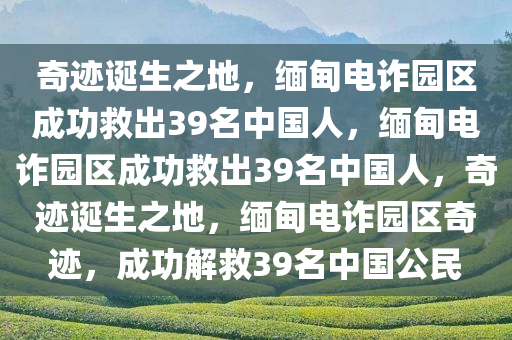 奇迹诞生之地，缅甸电诈园区成功救出39名中国人，缅甸电诈园区成功救出39名中国人，奇迹诞生之地，缅甸电诈园区奇迹，成功解救39名中国公民