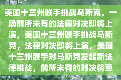 美国十三州联手挑战马斯克，一场前所未有的法律对决即将上演，美国十三州联手挑战马斯克，法律对决即将上演，美国十三州联手对马斯克发起新法律挑战，前所未有的对决将至