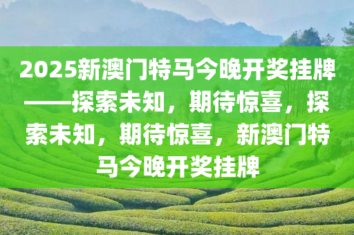 2025新澳门特马今晚开奖挂牌——探索未知，期待惊喜，探索未知，期待惊喜，新澳门特马今晚开奖挂牌