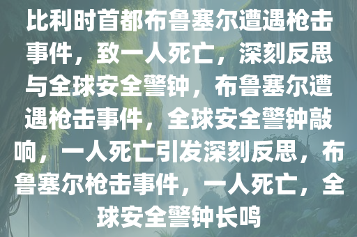 比利时首都布鲁塞尔遭遇枪击事件，致一人死亡，深刻反思与全球安全警钟，布鲁塞尔遭遇枪击事件，全球安全警钟敲响，一人死亡引发深刻反思，布鲁塞尔枪击事件，一人死亡，全球安全警钟长鸣