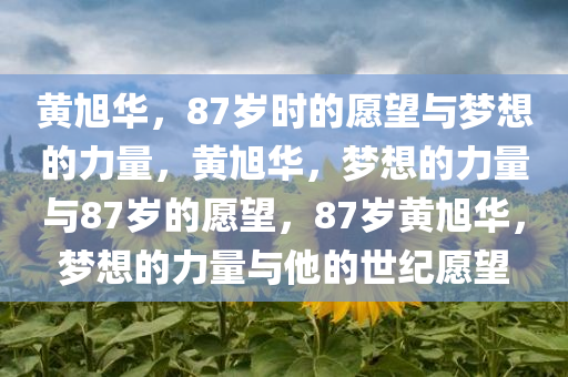 黄旭华，87岁时的愿望与梦想的力量，黄旭华，梦想的力量与87岁的愿望，87岁黄旭华，梦想的力量与他的世纪愿望