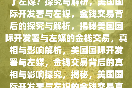 美国国际开发署是否重金收买了左媒？探究与解析，美国国际开发署与左媒，金钱交易背后的探究与解析，揭秘美国国际开发署与左媒的金钱交易，真相与影响解析，美国国际开发署与左媒，金钱交易背后的真相与影响探究，揭秘，美国国际开发署与左媒的金钱交易真相与影响