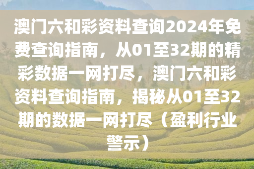 澳门六和彩资料查询2024年免费查询指南，从01至32期的精彩数据一网打尽，澳门六和彩资料查询指南，揭秘从01至32期的数据一网打尽（盈利行业警示）