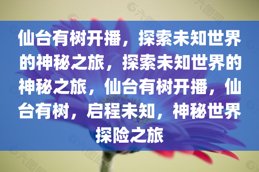 仙台有树开播，探索未知世界的神秘之旅，探索未知世界的神秘之旅，仙台有树开播，仙台有树，启程未知，神秘世界探险之旅