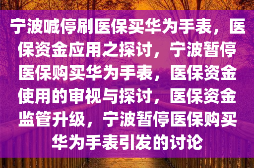 宁波喊停刷医保买华为手表，医保资金应用之探讨，宁波暂停医保购买华为手表，医保资金使用的审视与探讨，医保资金监管升级，宁波暂停医保购买华为手表引发的讨论