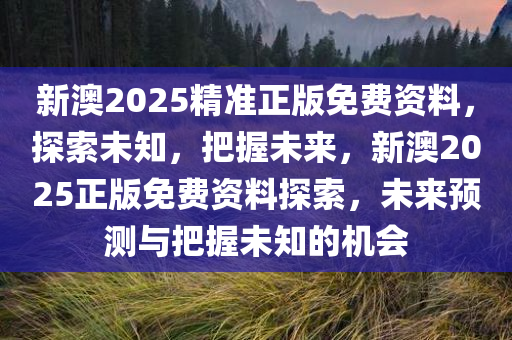 新澳2025精准正版免费资料，探索未知，把握未来，新澳2025正版免费资料探索，未来预测与把握未知的机会