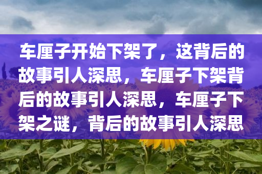 车厘子开始下架了，这背后的故事引人深思，车厘子下架背后的故事引人深思，车厘子下架之谜，背后的故事引人深思