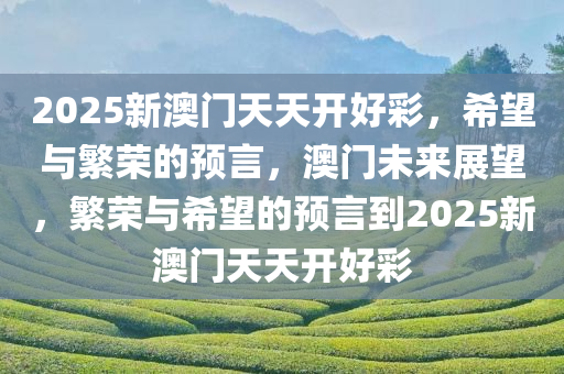 2025新澳门天天开好彩，希望与繁荣的预言，澳门未来展望，繁荣与希望的预言到2025新澳门天天开好彩