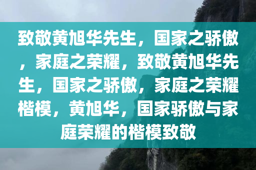 致敬黄旭华先生，国家之骄傲，家庭之荣耀，致敬黄旭华先生，国家之骄傲，家庭之荣耀楷模，黄旭华，国家骄傲与家庭荣耀的楷模致敬