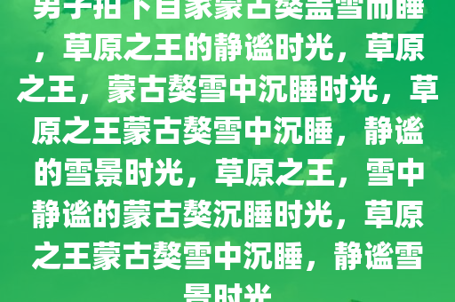 男子拍下自家蒙古獒盖雪而睡，草原之王的静谧时光，草原之王，蒙古獒雪中沉睡时光，草原之王蒙古獒雪中沉睡，静谧的雪景时光，草原之王，雪中静谧的蒙古獒沉睡时光，草原之王蒙古獒雪中沉睡，静谧雪景时光