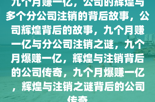 九个月赚一亿，公司的辉煌与多个分公司注销的背后故事，公司辉煌背后的故事，九个月赚一亿与分公司注销之谜，九个月爆赚一亿，辉煌与注销背后的公司传奇，九个月爆赚一亿，辉煌与注销之谜背后的公司传奇