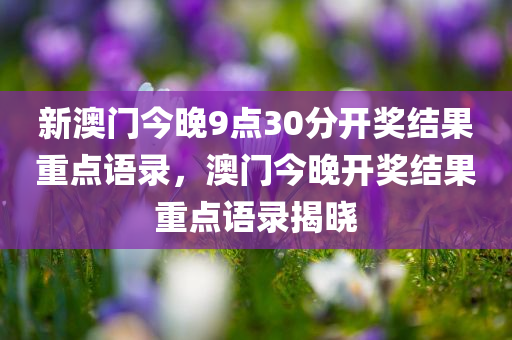 新澳门今晚9点30分开奖结果重点语录，澳门今晚开奖结果重点语录揭晓