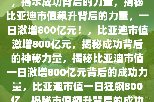 比亚迪市值一日飙升800亿元，揭示成功背后的力量，揭秘比亚迪市值飙升背后的力量，一日激增800亿元！，比亚迪市值激增800亿元，揭秘成功背后的神秘力量，揭秘比亚迪市值一日激增800亿元背后的成功力量，比亚迪市值一日狂飙800亿，揭秘市值飙升背后的成功密码