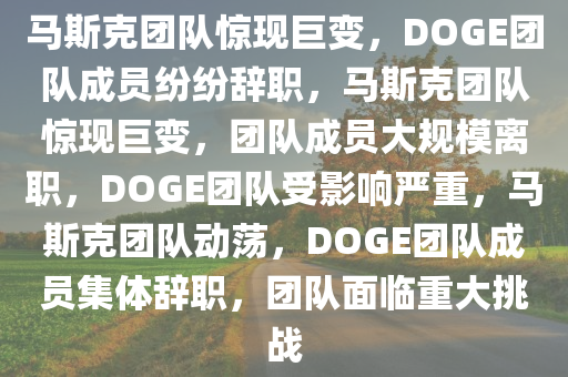 马斯克团队惊现巨变，DOGE团队成员纷纷辞职，马斯克团队惊现巨变，团队成员大规模离职，DOGE团队受影响严重，马斯克团队动荡，DOGE团队成员集体辞职，团队面临重大挑战