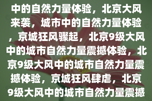 北京9级大风冷得发怵——城市中的自然力量体验，北京大风来袭，城市中的自然力量体验，京城狂风骤起，北京9级大风中的城市自然力量震撼体验，北京9级大风中的城市自然力量震撼体验，京城狂风肆虐，北京9级大风中的城市自然力量震撼体验