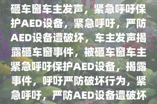 被砸车窗拿AED车主发声，被砸车窗车主发声，紧急呼吁保护AED设备，紧急呼吁，严防AED设备遭破坏，车主发声揭露砸车窗事件，被砸车窗车主紧急呼吁保护AED设备，揭露事件，呼吁严防破坏行为，紧急呼吁，严防AED设备遭破坏，车主揭露砸车窗事件发声