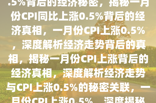 重磅！揭秘1月CPI同比上涨0.5%背后的经济秘密，揭秘一月份CPI同比上涨0.5%背后的经济真相，一月份CPI上涨0.5%，深度解析经济走势背后的真相，揭秘一月份CPI上涨背后的经济真相，深度解析经济走势与CPI上涨0.5%的秘密关联，一月份CPI上涨0.5%，深度揭秘经济走势背后的真相