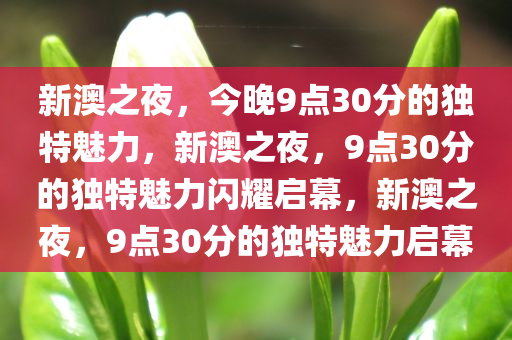 新澳之夜，今晚9点30分的独特魅力，新澳之夜，9点30分的独特魅力闪耀启幕，新澳之夜，9点30分的独特魅力启幕