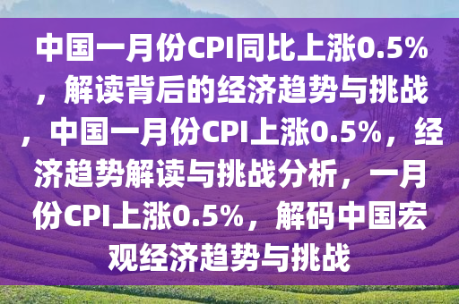 中国一月份CPI同比上涨0.5%，解读背后的经济趋势与挑战，中国一月份CPI上涨0.5%，经济趋势解读与挑战分析，一月份CPI上涨0.5%，解码中国宏观经济趋势与挑战