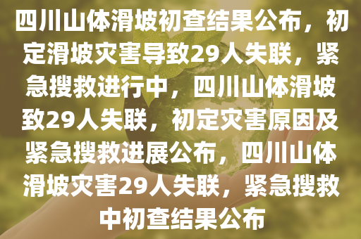 四川山体滑坡初查结果公布，初定滑坡灾害导致29人失联，紧急搜救进行中，四川山体滑坡致29人失联，初定灾害原因及紧急搜救进展公布，四川山体滑坡灾害29人失联，紧急搜救中初查结果公布