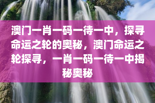 澳门一肖一码一待一中，探寻命运之轮的奥秘，澳门命运之轮探寻，一肖一码一待一中揭秘奥秘