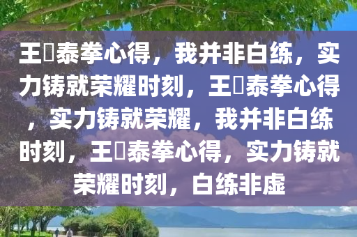 王濛泰拳心得，我并非白练，实力铸就荣耀时刻，王濛泰拳心得，实力铸就荣耀，我并非白练时刻，王濛泰拳心得，实力铸就荣耀时刻，白练非虚