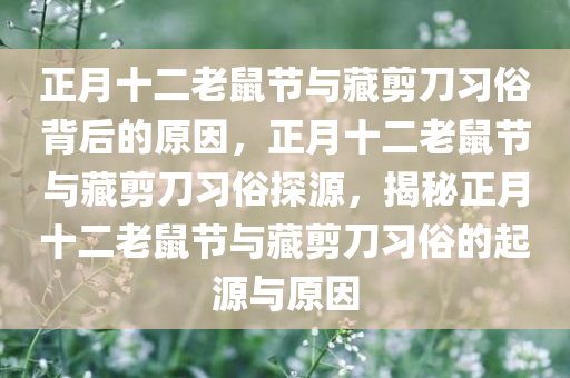 正月十二老鼠节与藏剪刀习俗背后的原因，正月十二老鼠节与藏剪刀习俗探源，揭秘正月十二老鼠节与藏剪刀习俗的起源与原因