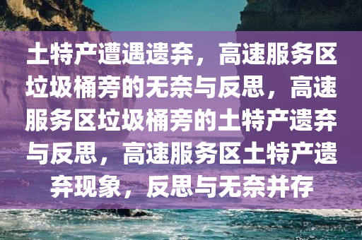 土特产遭遇遗弃，高速服务区垃圾桶旁的无奈与反思，高速服务区垃圾桶旁的土特产遗弃与反思，高速服务区土特产遗弃现象，反思与无奈并存