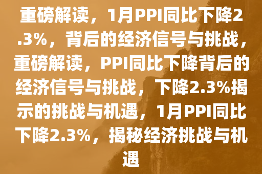 重磅解读，1月PPI同比下降2.3%，背后的经济信号与挑战，重磅解读，PPI同比下降背后的经济信号与挑战，下降2.3%揭示的挑战与机遇，1月PPI同比下降2.3%，揭秘经济挑战与机遇